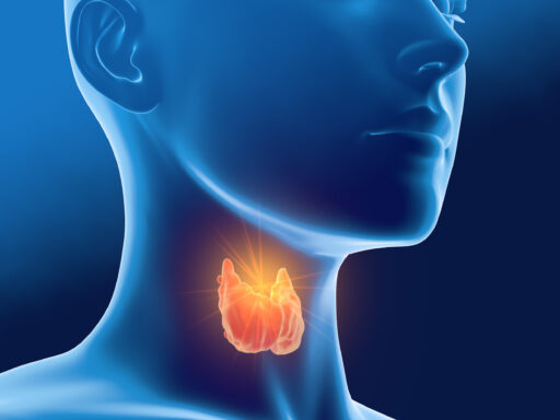 Thyroid gland of a woman, medically 3D illustration on blue background, front view